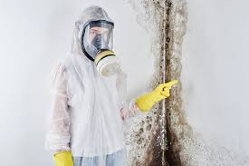 Best Biohazard Mold Removal in USA